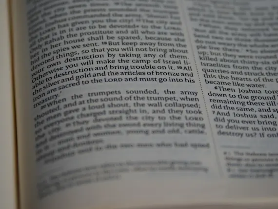 TopTally Cazino Cazinou Suport